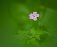 Матвей Бутаков: фотограф, который видит жизнь в кадре