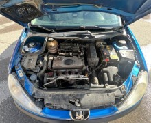 Peugeot 206, 2007