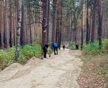 Как спортсменам-лыжникам и собаководам поделить зимнюю лыжню?