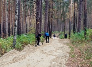 Как спортсменам-лыжникам и собаководам поделить зимнюю лыжню?