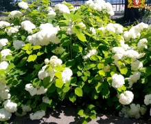 Лето пролетело, оставив яркие воспоминания и прекрасные кадры – от наших подписчиков