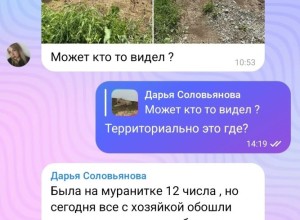 В Заречном и окрестностях ищут пропавшую собаку