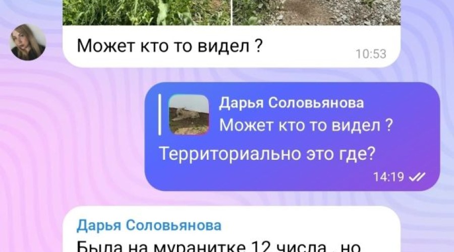 В Заречном и окрестностях ищут пропавшую собаку