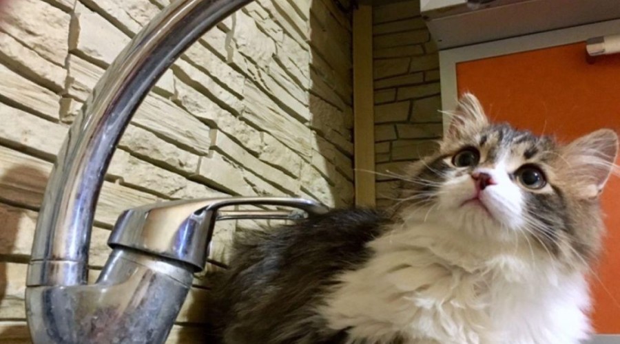 Отключение ХВС