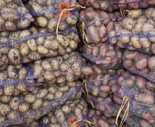Продам картофель с бесплатной доставкой