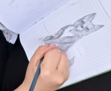 Собачья «Гонка героев» в Заречном: спорт, творчество и помощь приютам