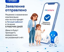 Оформление компенсации за детский сад и льгот через Госуслуги: инструкция для родителей