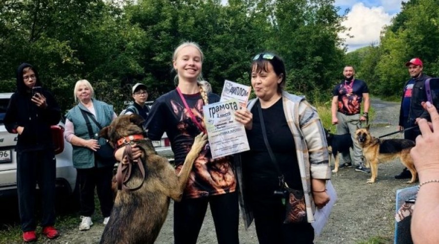 Собачья «Гонка героев» в Заречном: спорт, творчество и помощь приютам