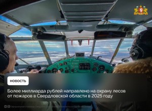 Более миллиарда рублей направлено на охрану лесов от пожаров в Свердловской области в 2025 году