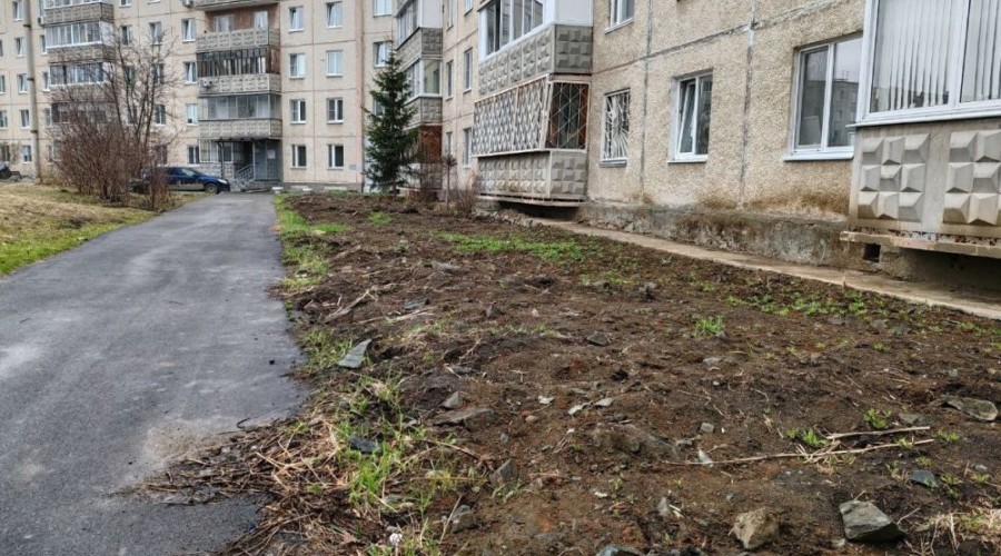 Высаживать новые деревья после ремонта теплосетей не будут