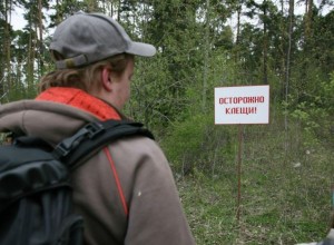 Куда обращаться при укусе клеща в Заречном