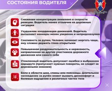 Госавтоинспекция предлагает для изучения серию карточек «как распознать усталость и избежать автоаварии»