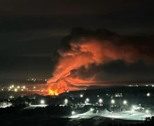 Пожар в деревне Боярка унёс жизни 15 лошадей