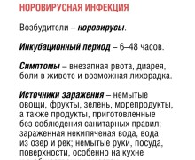 По данным Роспотребнадзора, ежегодно регистрируются десятки тысяч случаев острых кишечных инфекций, особенно в летний период