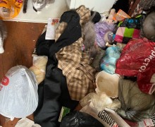 Заречный, срочно! Нужна помощь 40 кошкам из квартиры на Ленина, 30