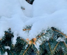 Зима не сдается, но и мы тоже — ждём тепла!