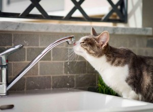 ОТКЛЮЧЕНИЕ холодной воды 18 МАРТА с 09.00