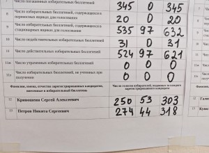 Самовыдвиженец Никита Петров победил в округе № 18