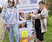Собачья «Гонка героев» в Заречном: спорт, творчество и помощь приютам
