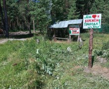 Воспитанники школьного лесничества Кедр помогли провести уборку на правом берегу водохранилища