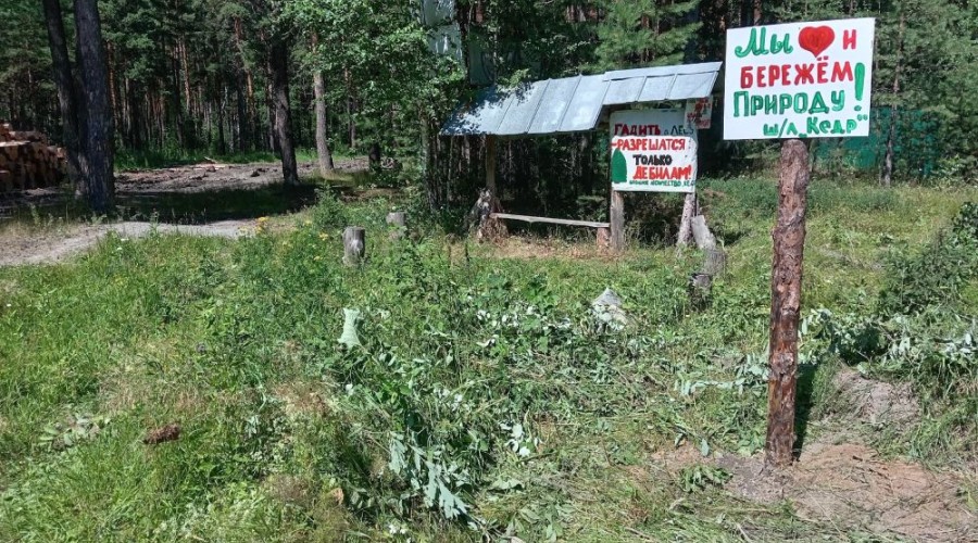 Воспитанники школьного лесничества Кедр помогли провести уборку на правом берегу водохранилища