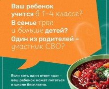 Бесплатное питание в школах: кто имеет право и как оформить льготу