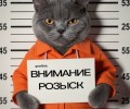 Кафе «Бамбу» приглашает повара, официанта и администратора