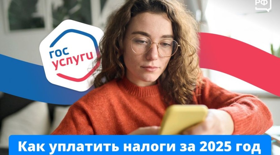 ФНС начала рассылку налоговых уведомлений: оплатить транспортный, земельный и имущественный налоги нужно до 1 декабря 2026 года