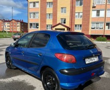 Peugeot 206, 2007