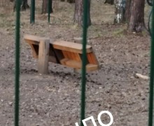 Вандалы повредили балансир на площадке для собак в экопарке Заречного