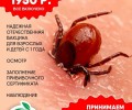 Вакцинация против клещевого энцефалита: график и условия в Заречном