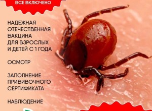 Вакцинация против клещевого энцефалита: график и условия в Заречном