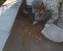 Коммунальщики Заречного провели сезонную чистку кровель