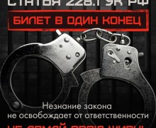 За какие действия предусмотрена уголовная ответственность за наркотики