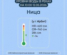 Весеннее половодье в Свердловской области: ситуация на 7 затопленных мостах и 19 населённых пунктах