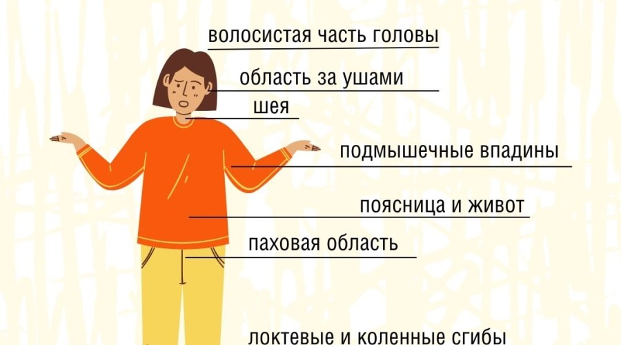 Клещи стали реже нападать на людей, но полностью они ещё не исчезли