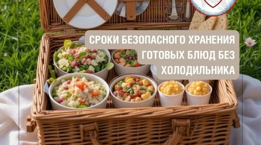 Памятка для пикников: как избежать отравления в жаркую погоду