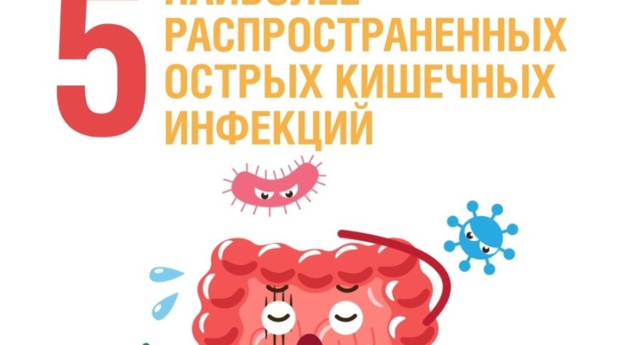 По данным Роспотребнадзора, ежегодно регистрируются десятки тысяч случаев острых кишечных инфекций, особенно в летний период