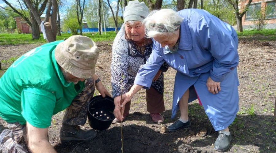 В субботу, 17 мая, в Курманском парке высадили яблоневую аллею