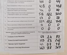 Александр Чермаков победил в округе №20 на выборах 2026 года