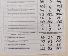 Александр Чермаков победил в округе №20 на выборах 2026 года