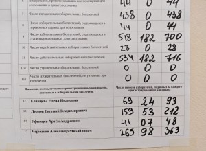 Александр Чермаков победил в округе №20 на выборах 2026 года