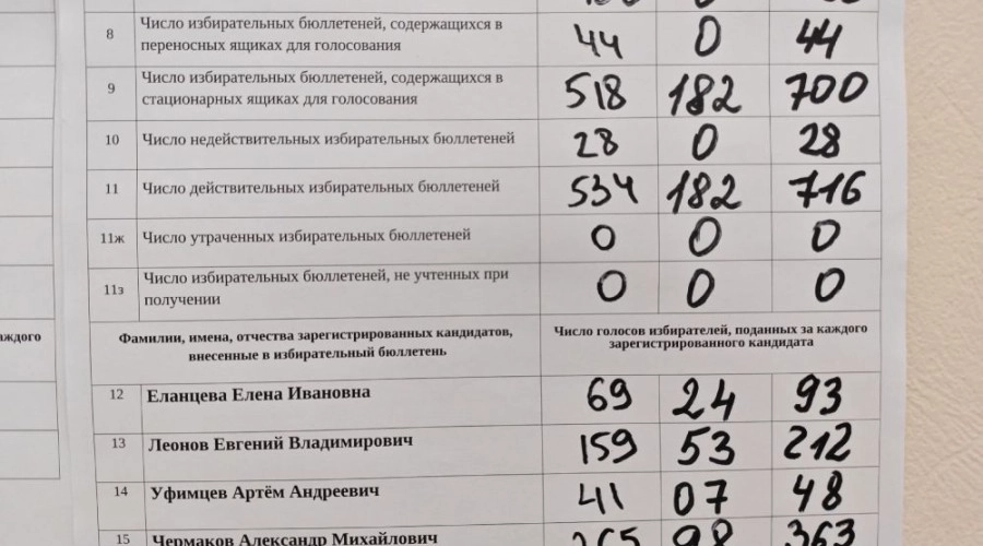 Александр Чермаков победил в округе №20 на выборах 2026 года