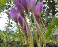 Определены победители IX международного проекта «Территория успеха: в объятиях природы»