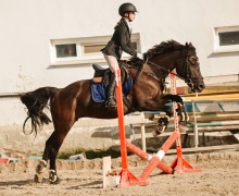 Воспитанницы клуба Добрая лошадь привезли 13 медалей с соревнований!