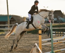 Воспитанницы клуба Добрая лошадь привезли 13 медалей с соревнований!