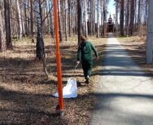 В Заречном стартовала акарицидная обработка общественных пространств