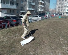 Акарицидную обработку в Заречном начнут после установления сухой погоды