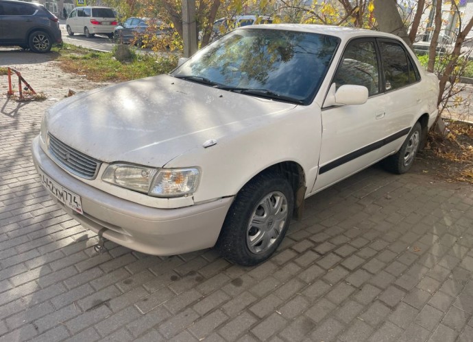 Toyota Corolla, 