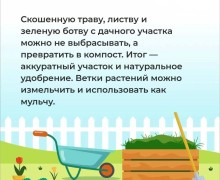 Как провести выходные на природе экологично: советы от регоператора